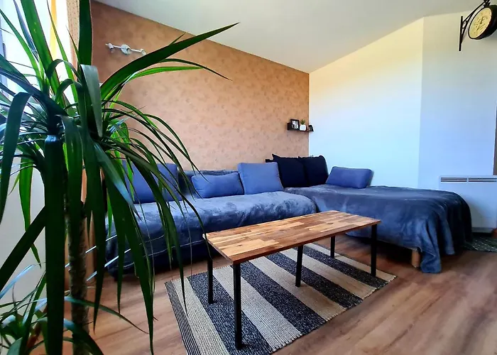 Logement Entier 30M² - 800M Du Futuroscope